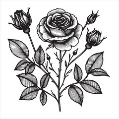 A sketch of a rose in black and white with the words 
