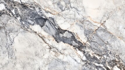 Elegant gray marble with intricate veining found in a contemporary setting