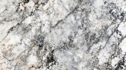 White and gray marble texture featuring intricate veining patterns in a natural stone surface