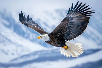 A majestic eagle soaring through a mountainous landscape, showcasing its powerful wings.