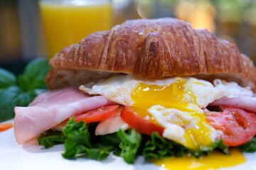 Female hands putting different sandwiches on a board during meal serving