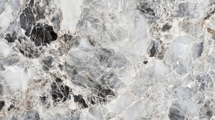 Obraz premium Gray and White Marble with Black Veins Showcasing Natural Stone Texture and Patterns