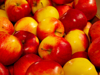 Close-up of beautiful yellow and red apples. Glossy apples.