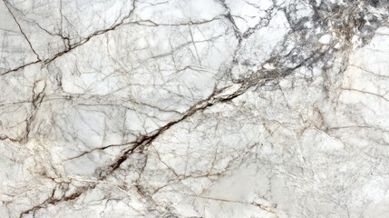 Elegant white marble surface with intricate gray veining showcasing natural beauty in design