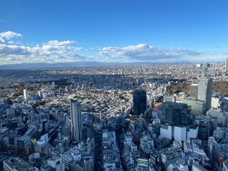 Fototapeta premium 東京・渋谷の景観