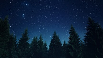 Fototapeta premium A serene night sky filled with stars above a forest of tall evergreen trees.