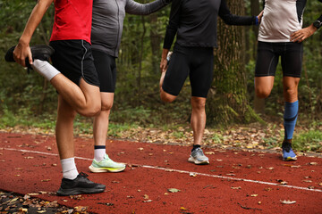 Fototapeta premium Group of people stretching in park. Healthy lifestyle