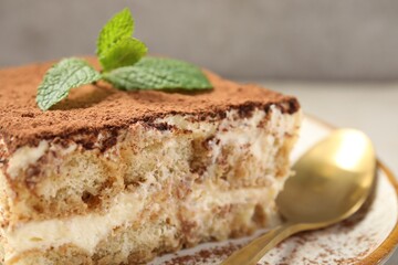 Piece of tasty tiramisu on table, closeup