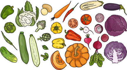 Vegetables sketch drawing collection. carrot,  pepers, tomato, cucumber, cabbage, potato, etc. Hand drawn vector doodle illustrations in colorful style