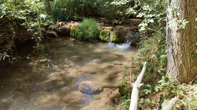 View of a stream with small waterfalls in the middle of the forest. Arroyo de las Fuentes near Cañete, Spain