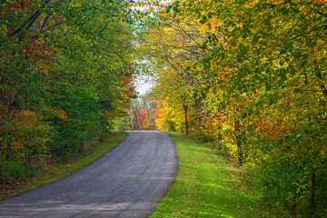 road in autumn forest