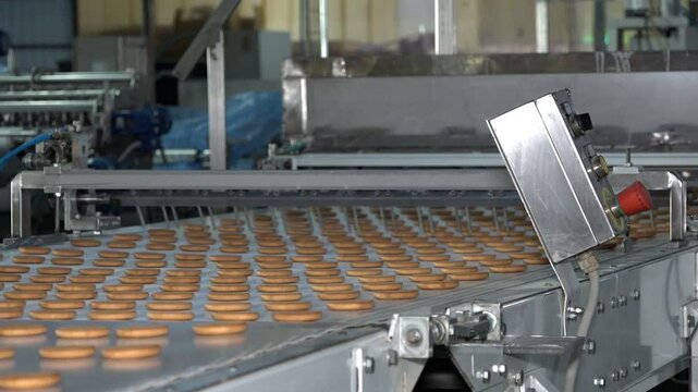 Industrial food factory or bakery, cookies on automated production line or conveyor belt, confectionery plant or bakehouse