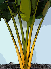 A growing plant with large leaves stands out against a blue wall.