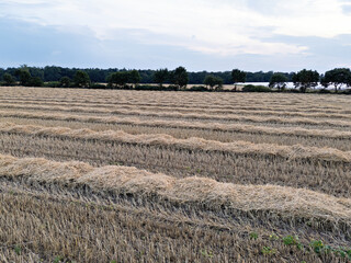 Grain field, harvested with various structures, straw piles and straw bales