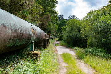 The image shows a large, rusted pipeline running parallel to a narrow, overgrown path in a forested area. The pipeline is supported by concrete blocks and surrounded by dense vegetation.