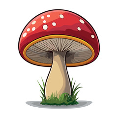Red and White Toadstool Vector Illustration with Grass