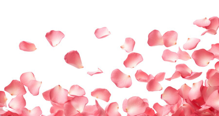 PNG Rose petals backgrounds flower plant.