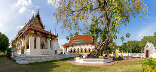 Thai Buddhist Temple with Beautiful Architecture and Sacred Bodhi Tree under Blue Sky, Cultural Heritage in Thailand , Temple of Ayutthaya Province Thailand