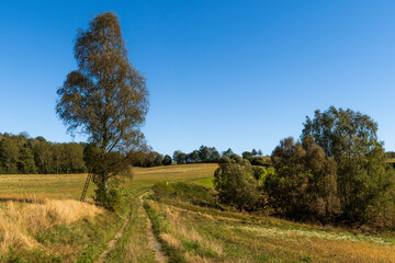 Wanderweg bei Ottendorf, Sebnitz, in der Sächsischen Schweiz 1