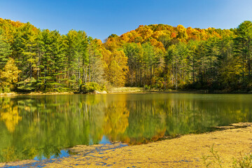 autumn landscape with lake and trees