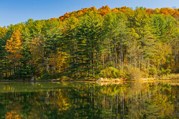 autumn landscape with lake