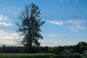 Obraz premium Podlasie, Polska