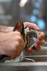 Chef is preparing Fresh abalones to serve