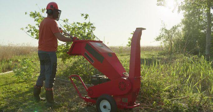 Wood chipper machine man shredding tree branches