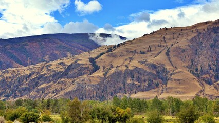 A stunning image of the rugged Badlands terrain featuring layered hills, eroded rock formations, and lush sagebrush vegetation under a vibrant blue sky. The dramatic geological features and golden gra