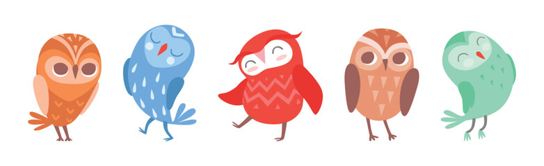 Cute Owl Bird with Feather and Wing Vector Set