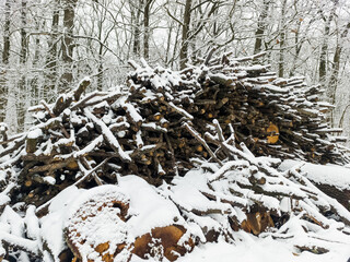 A pile of wood is piled up in the snow