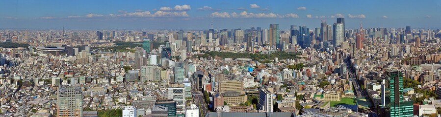 A stunning view of Tokyo's skyline showcasing a mix of modern architecture, high-rise skyscrapers, and the iconic red Tokyo Tower. The image captures the vibrant urban landscape under a clear blue sky