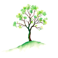 green tree isolated on white
