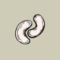 Cashew nuts sketch outline illustration in color. Simple doodle drawing in engraving style. Hand drawn vector line art clipart isolated on a white background