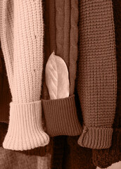 Mocha Mousse - color of the year 2025. Row of different colorful Knitted sweaters hang on hangers