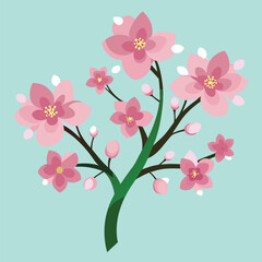 Fototapeta premium Beautiful sakura flowers isolated on white