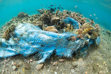 Discarded plastic is found entwined on a fragile coral colony in Lembe Strait, Indonesia. Plastics...