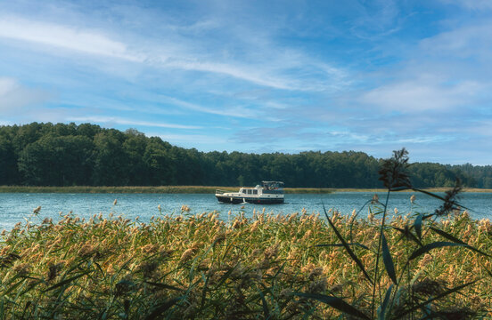 Reeds sway in the wind on a beautiful, relaxing summer day by the lake in Poland. 

Idyllic beach at the swimming lake.