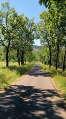 Obraz premium A road with trees on both sides and a clear blue sky