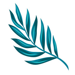 Stylized date palm leaf. Decorative image of tropical foliage and plant.