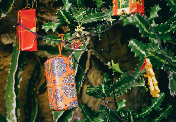 Cute gift attached to a large green cactus, closeup view, celebrating in exotic countries.