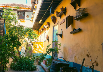 A stylish vintage interior of a house courtyard with yellow walls and small tropical garden in the...