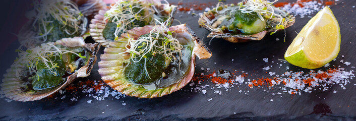 Delicious grilled scallops in shells,  fresh seafood with a sause and soy sprouts.