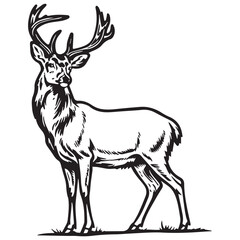 Creative black and white animal vector 