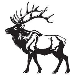 Creative black and white animal vector 