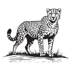 Creative black and white animal vector 