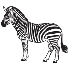 Creative black and white animal vector 