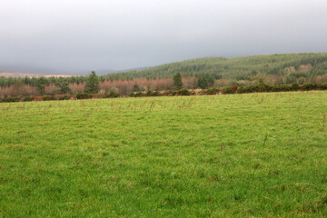 Fototapeta premium Countryside surrounding Mount Melleray Abbey - Knockmealdown mountains - County Waterford - Ireland