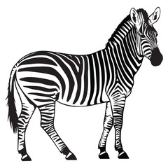 Fototapeta premium Creative black and white animal vector 