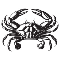 Creative black and white animal vector 